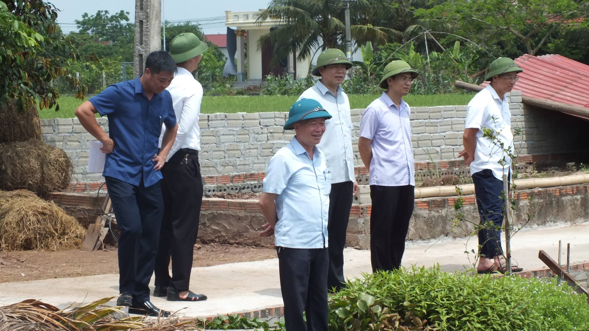 anh tin bai